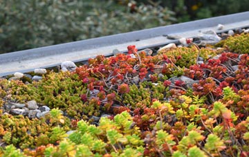 the cost of Hillfoot End green roof installation