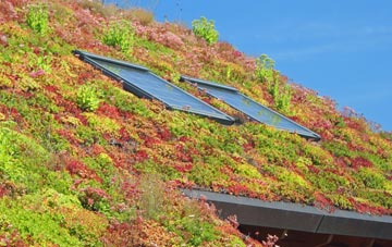 Hillfoot End living roof systems