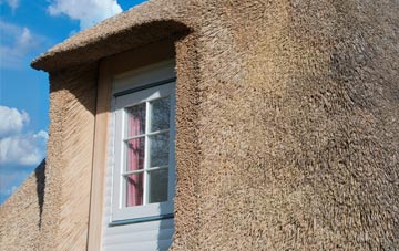 Hillfoot End thatch roof disadvantages