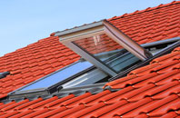 Hillfoot End roof window