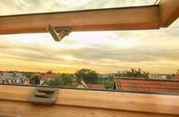 rated Hillfoot End roof window companies